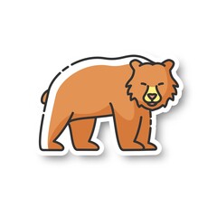 Wall Mural - brown bear patch. large carnivore predator, dangerous woodland creature, forest inhabitant. common n