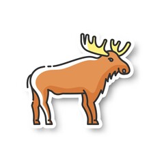 Wall Mural - elk patch. hoofed ruminant animal with large antlers. american forest wildlife rgb color printable s