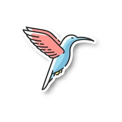 Wall Mural - hummingbird patch. small exotic bird, ecuador inhabitant. south and north america fauna. zoology, or