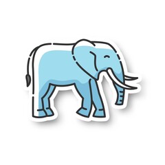 Wall Mural - elephant patch. large land animal, exotic wildlife. african savanna, indian fauna rgb color printabl