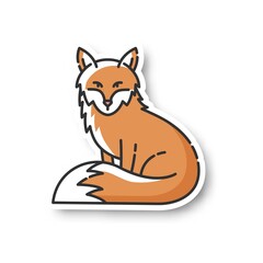 Wall Mural - fox patch. cute animal with furry tail, common mammal, omnivore woodland creature. forest wildlife, 