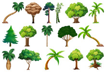 Set Of Variety Plants And Trees