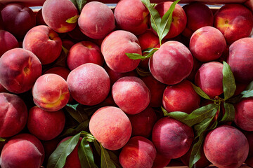 Wall Mural - Wooden crate with fresh sweet peaches.