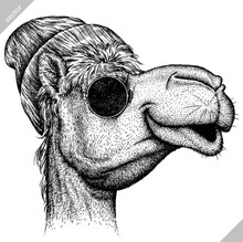 Black And White Engrave Isolated Camel Vector Illustration