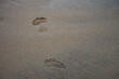 human footprints on the sea sand