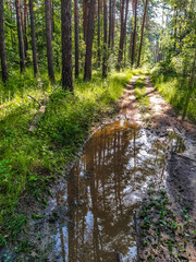 Wall Mural - image of a country road in bad weather