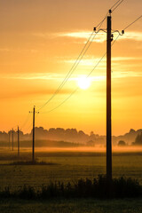 Wall Mural - image of a power line on a field at sunset in summer