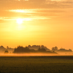 Wall Mural - landscape with a summer field at sunset