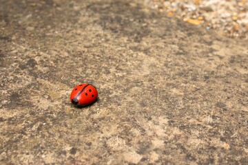 Sticker - Painted rock imitation of a ladybug