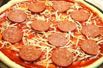 pepperoni pizza isolated closeup