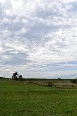 Wall Mural - Field