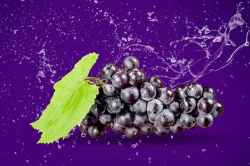 Wall Mural - Grape.