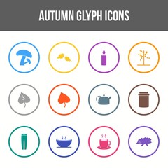 Wall Mural - Unique autumn vector glyph icon set