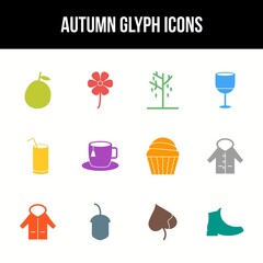 Wall Mural - Unique autumn vector glyph icon set