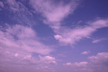Wall Mural - pink sunset. sky with clouds. delicate purple sky background.