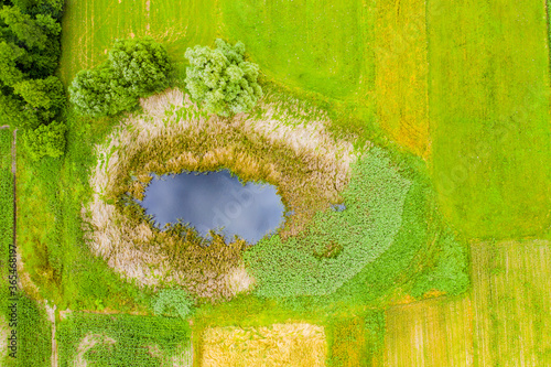 Fotografía Aerial view of natural pond surrounded by pine trees. Europe