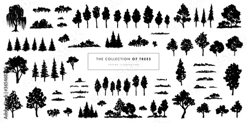 Cuadros en Lienzo Vector illustration of different trees, shrubs and grass isolated on white backg