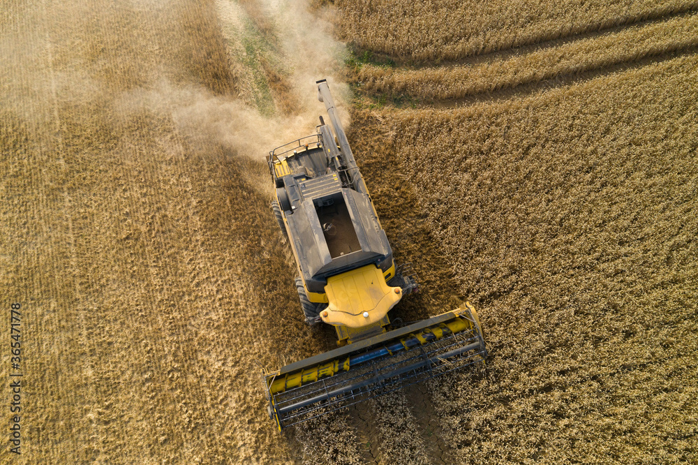 Moisson de blé en vue aérienne Stock Photo | Adobe Stock