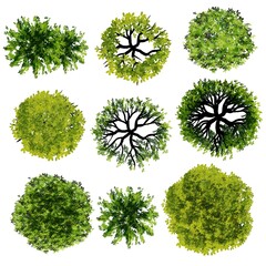 Wall Mural - set of watercolor tree top view for landscape and architecture elements