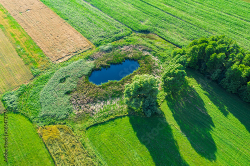 Cuadros en Lienzo Aerial view of natural pond surrounded by pine trees. Europe