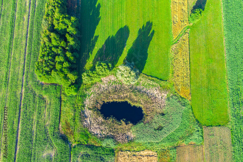 Fotomural Aerial view of natural pond surrounded by pine trees. Europe