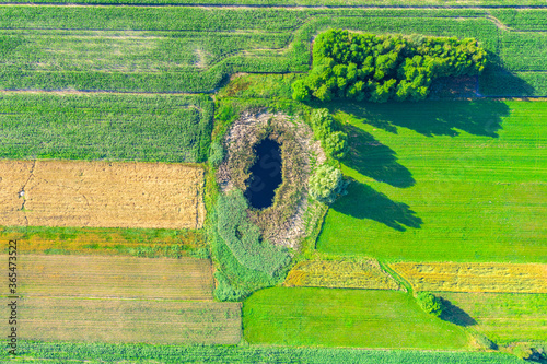 Fotografía Aerial view of natural pond surrounded by pine trees. Europe