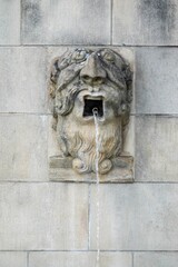 Wall Mural - Lions Fountain in the forecourt of Notre-Dame Cathedral in France