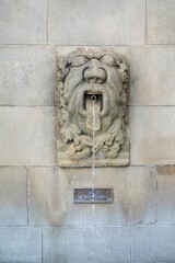 Wall Mural - Lions Fountain in the forecourt of Notre-Dame Cathedral in France