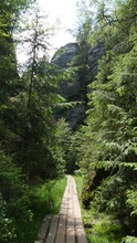 The Path Among The Trees. The Road In The Woods. A Young Forest And A Wooden Road In The Czech Republic. Rock Town In The Czech Republic. Czech Mountains. View Of The Rocky Landscape. 