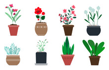 Set Of Cute Vector Flower Pots For Home Decor. Flat Vector Illustration In Modern Design. Eight Isolated Ornamental Plants With Flowers Or Large Leaves. Image For Home Interior Decoration, Postcards