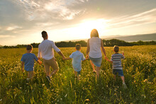 Happy Family On Daisy Field At The Sunset Having Great Time Together Walking Field