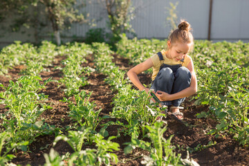 Wall Mural - beautiful teenage girl on the background of a green garden in summer