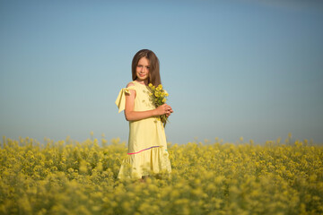 Wall Mural - teenage girl in a yellow dress picks flowers in a yellow field in summer