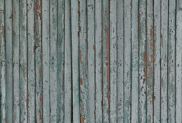 Wall Mural - Old wooden in vintage style. Surface design.Rustic closeup on white background. Wood texture abstract color backdrop.