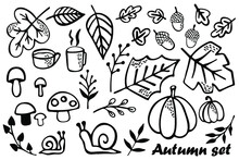 Autumn Set Of Hand Drawn Clipart. Black And White Drawings. Vector