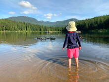 Three Year Old Girl Standing In A Canadian Lake Looking At The Canada Geese Swimming By. Young Child Playing In The Water In Summer Time.
