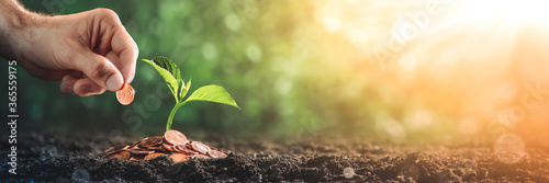 Cuadros en Lienzo Hand Adding Penny To Pile Of Coins With Plant In Soil - Business Growth / Invest