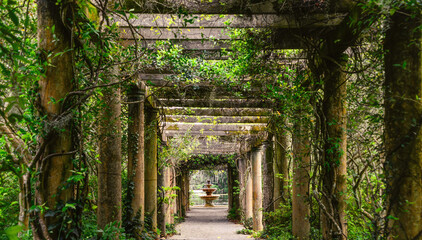 reflection pond