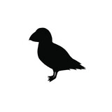 Fototapeta Młodzieżowe - Vector black puffin bird silhouette isolated on white background