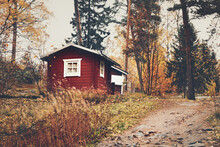 Red Wooden House In Orange Autumn Forest, Finland (Suomi) 