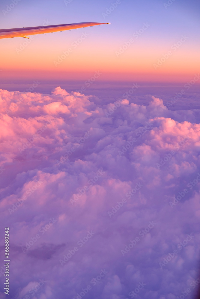 飛行機の窓からの景色 Wall Mural Wallpaper Murals Shunji Yoshimi