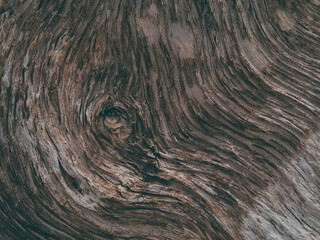 Wall Mural - Old pine wood texture