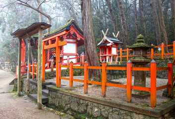 Wall Mural - The Wakamiya Shrine in Nara, Japan