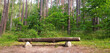 © Malaui - Simple bench made of a tree log resting on two large stones in the summer woods