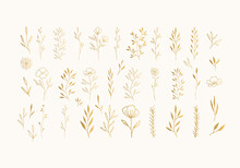 Set Of Golden Herbs, Leaves, Flowers With Stems, Branches. Vector Hand Drawn Illustration.