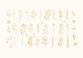 Set of golden herbs, leaves, flowers with stems, branches. Vector hand drawn illustration.