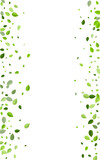 Fototapeta Panele - Forest Foliage Blur Vector Concept. Tea Leaf 