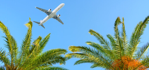 Wall Mural - airplane flying over tropical palm trees on blue sky background