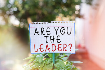 Poster - Word writing text Are You The Leader Question. Business photo showcasing asking for the qualification of being a good boss Plain empty paper attached to a stick and placed in the green leafy plants