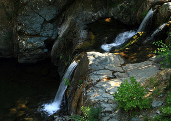 Wall Mural - waterfall in the forest